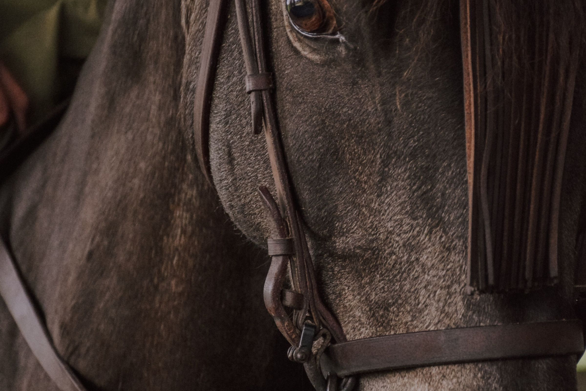 what we offer what we offer